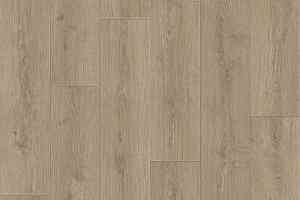 Линолеум Tarkett Praktika BRUNO_1 фото  | FLOORDEALER